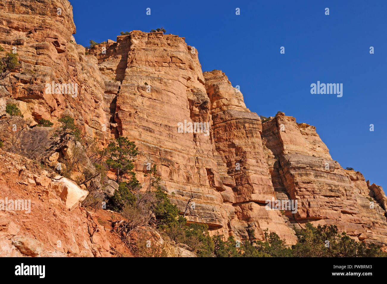 Guardando le pareti drammatica del Grand Canyon Foto Stock