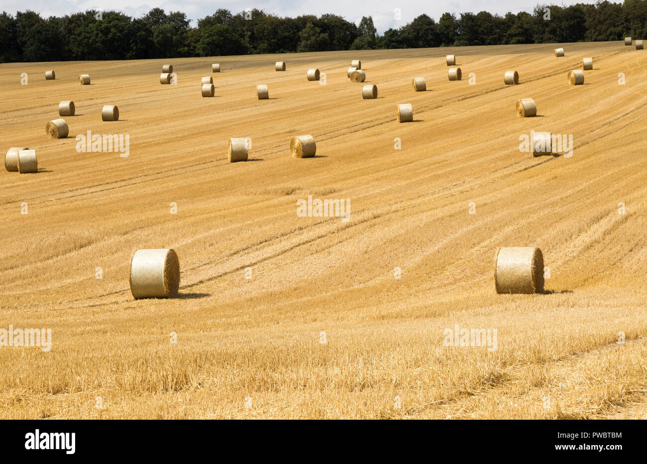 Round le balle di paglia nel campo delle stoppie dopo il raccolto, estate paesaggio vicino Rudge, Marlborough, Wiltshire, Inghilterra, Regno Unito Foto Stock