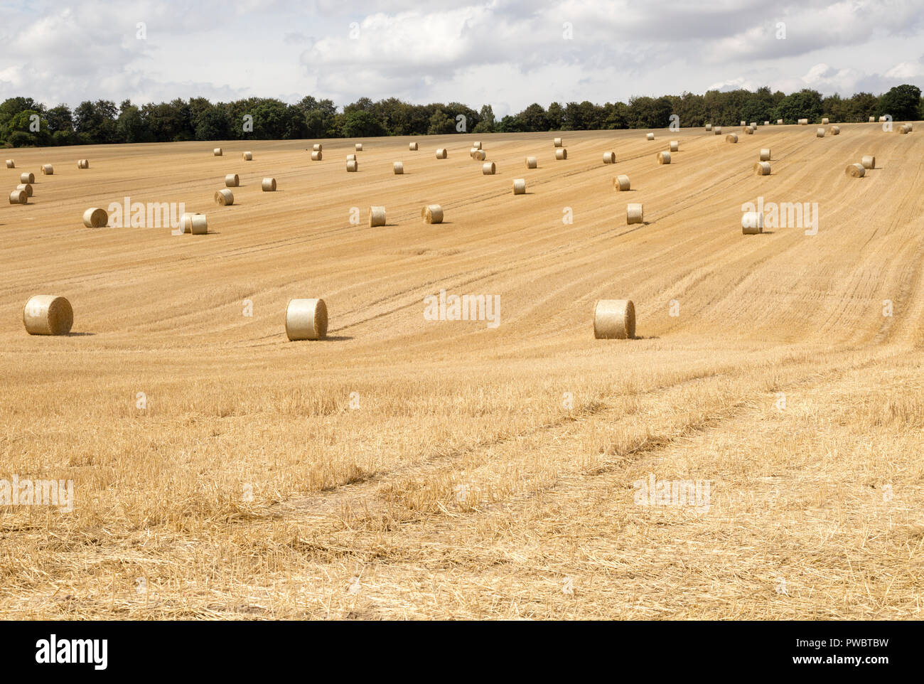 Round le balle di paglia nel campo delle stoppie dopo il raccolto, estate paesaggio vicino Rudge, Marlborough, Wiltshire, Inghilterra, Regno Unito Foto Stock