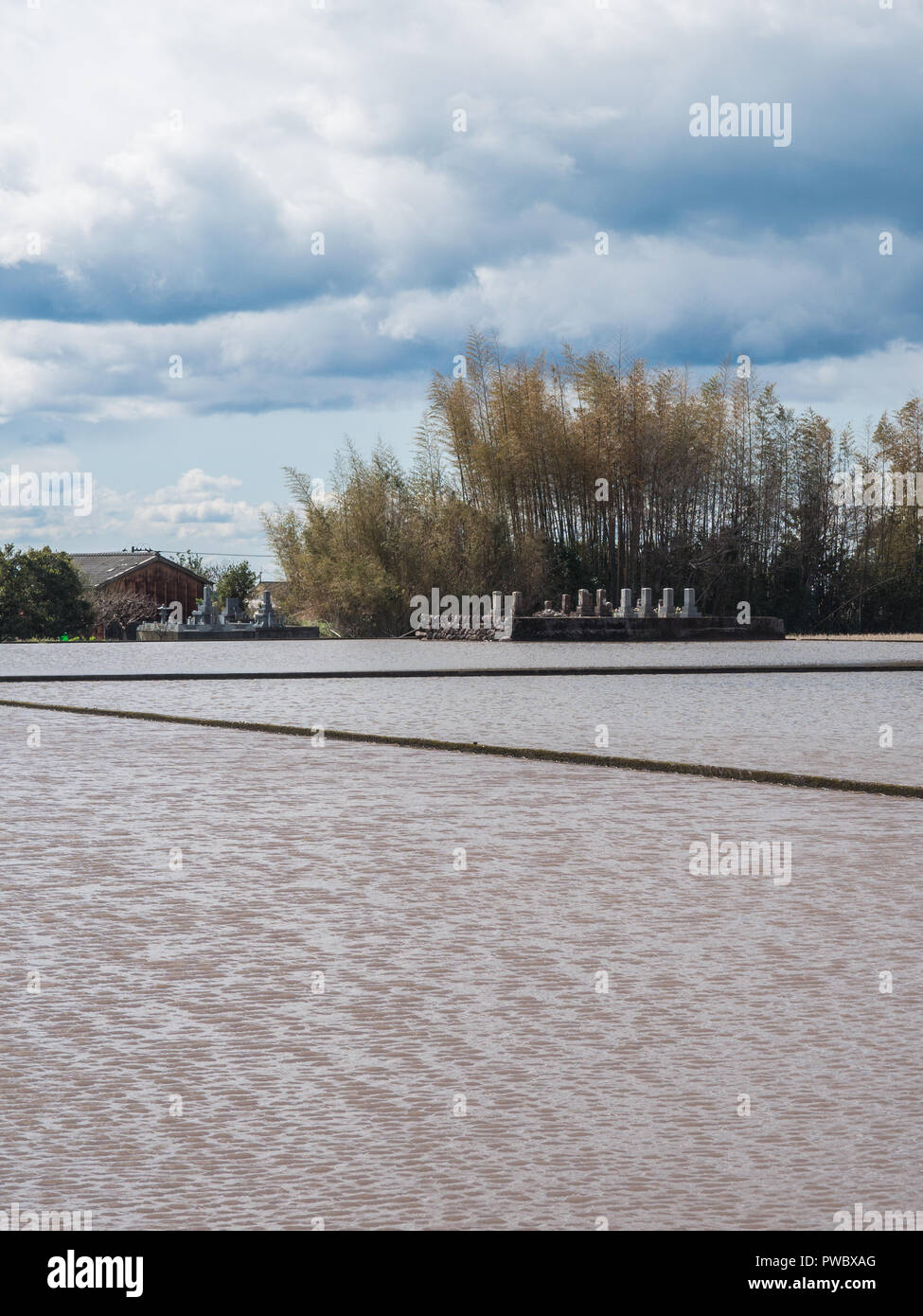 Risaie allagate, cippi su una piattaforma di pietra, Giapponese paesaggio rurale Kami, Kochi, Giappone Foto Stock