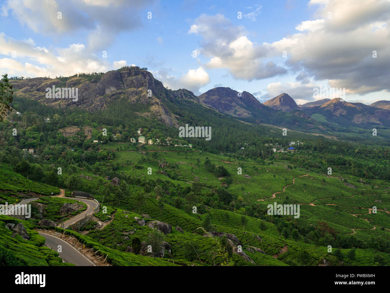 Le piantagioni di tè sulle colline Foto Stock