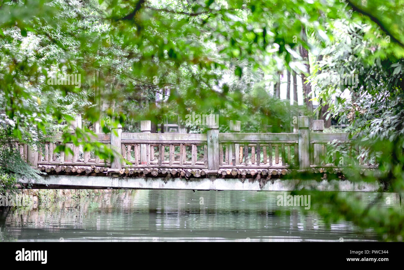 Ponte di cemento attraverso il piccolo su annulla a Wuhan Botanic Garden. Molto abuundant e fresco. E il primo piano è sfocato foglie. Foto Stock
