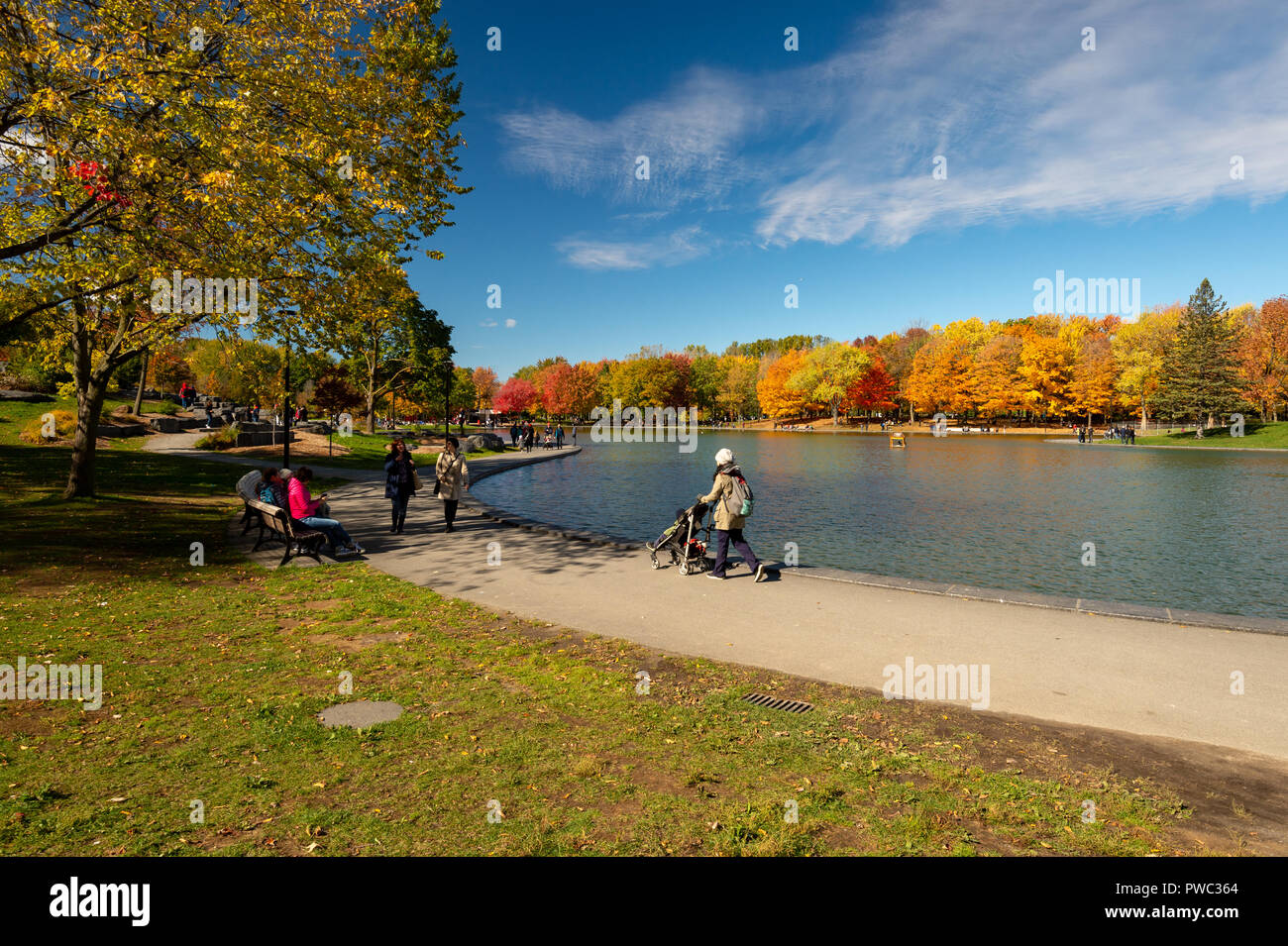 Montreal, Canada - 14 Ottobre 2018: Castoro del lago alla sommità del Mont-Royal, come fogliame burst con colori autunnali. Foto Stock