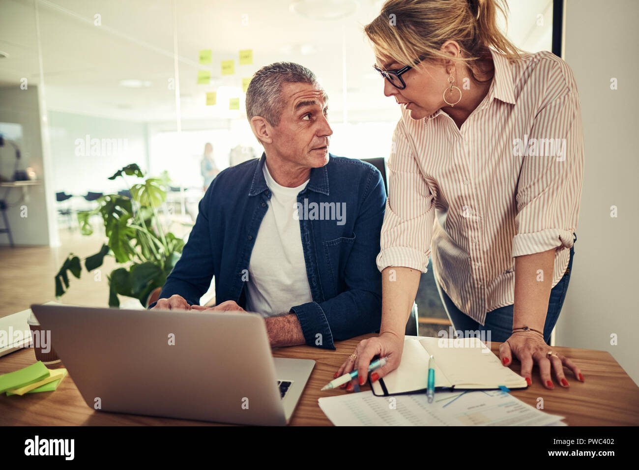 Due focalizzato business maturi i colleghi a discutere di lavorare insieme su un laptop a una scrivania in un ufficio moderno Foto Stock