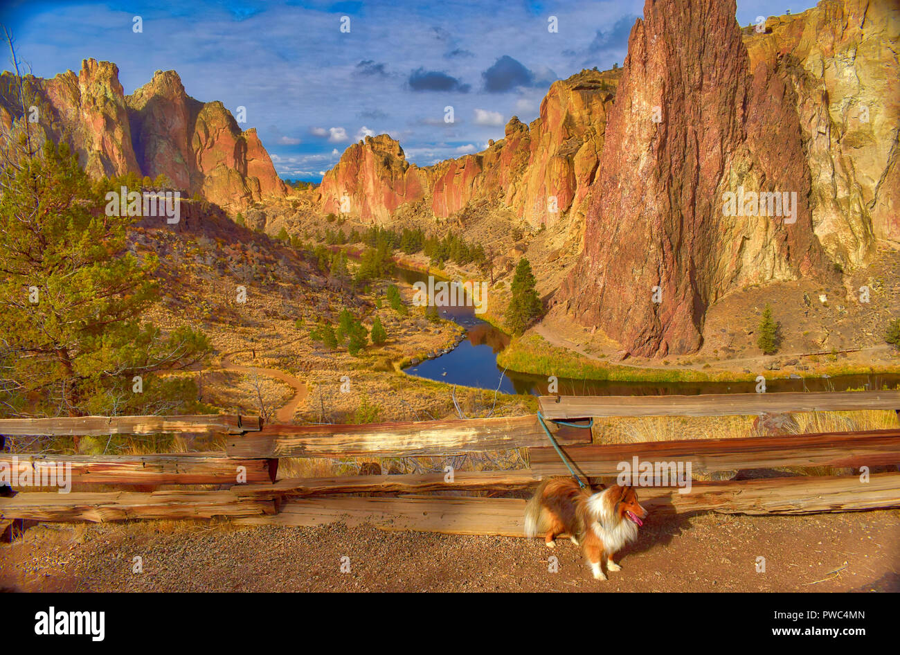 Escursioni con il mio cane a Smith Rock State Park in Oregon Foto Stock