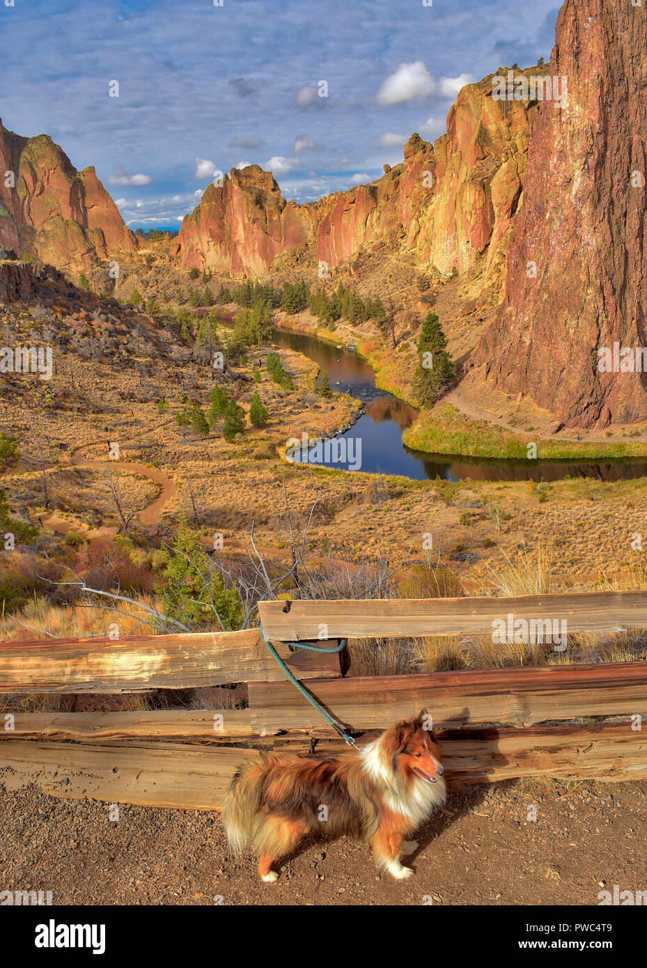 Escursioni con il mio cane a Smith Rock State Park in Oregon Foto Stock