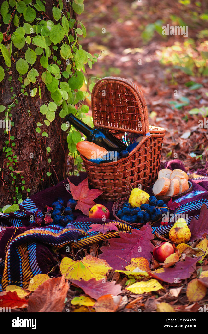 Cesto per pic-nic con una bottiglia di vino e baguette in una foresta di autunno in presenza di luce solare con copia spazio. Picnic vita ancora sulla posizione Foto Stock