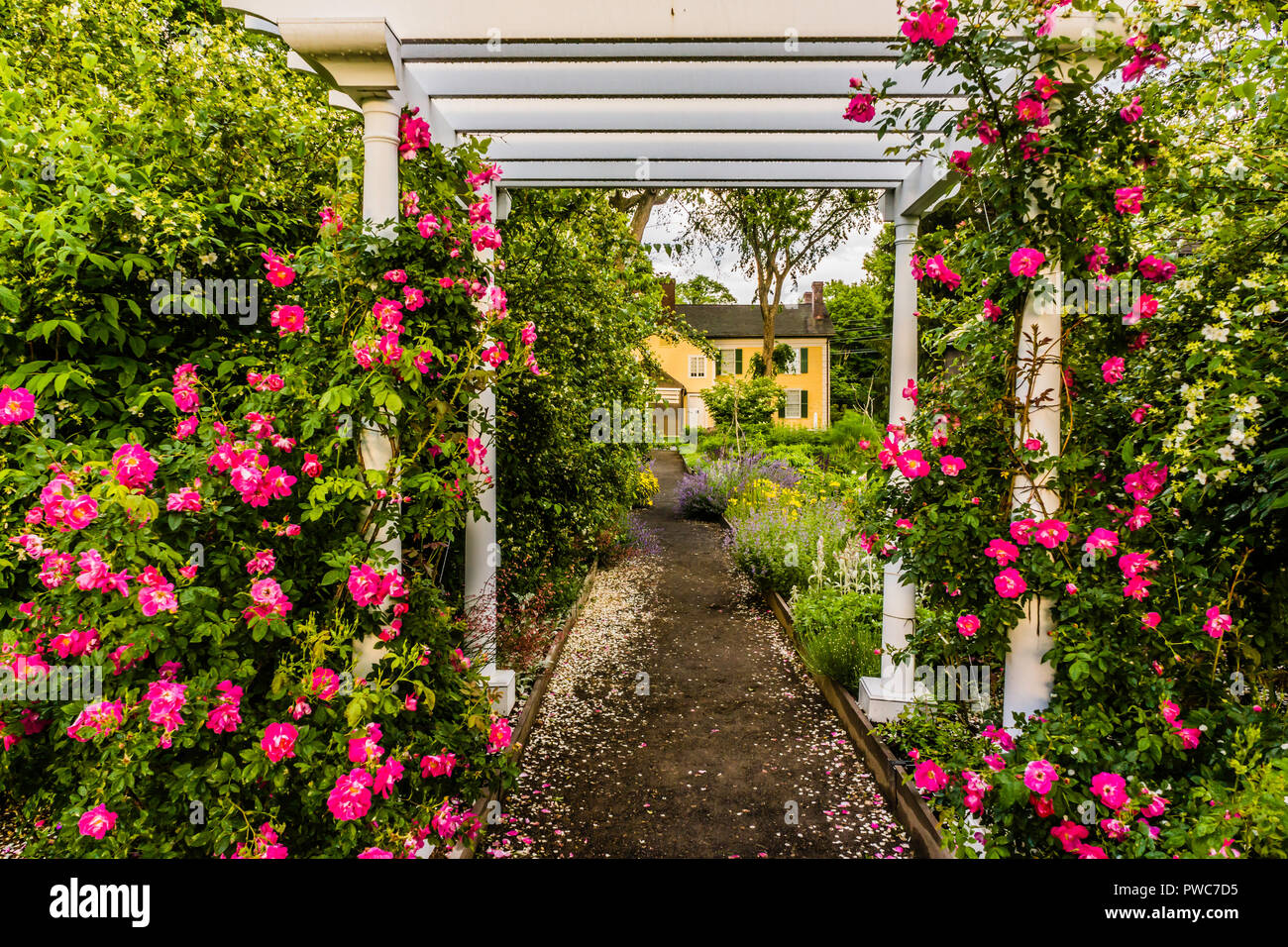 Firenze Museo Griswold   Old Lyme, Connecticut, Stati Uniti d'America Foto Stock