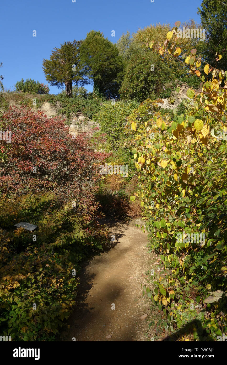 La cava a Scotney Castle, vicino a Lamberhurst, Kent, Regno Unito Foto Stock