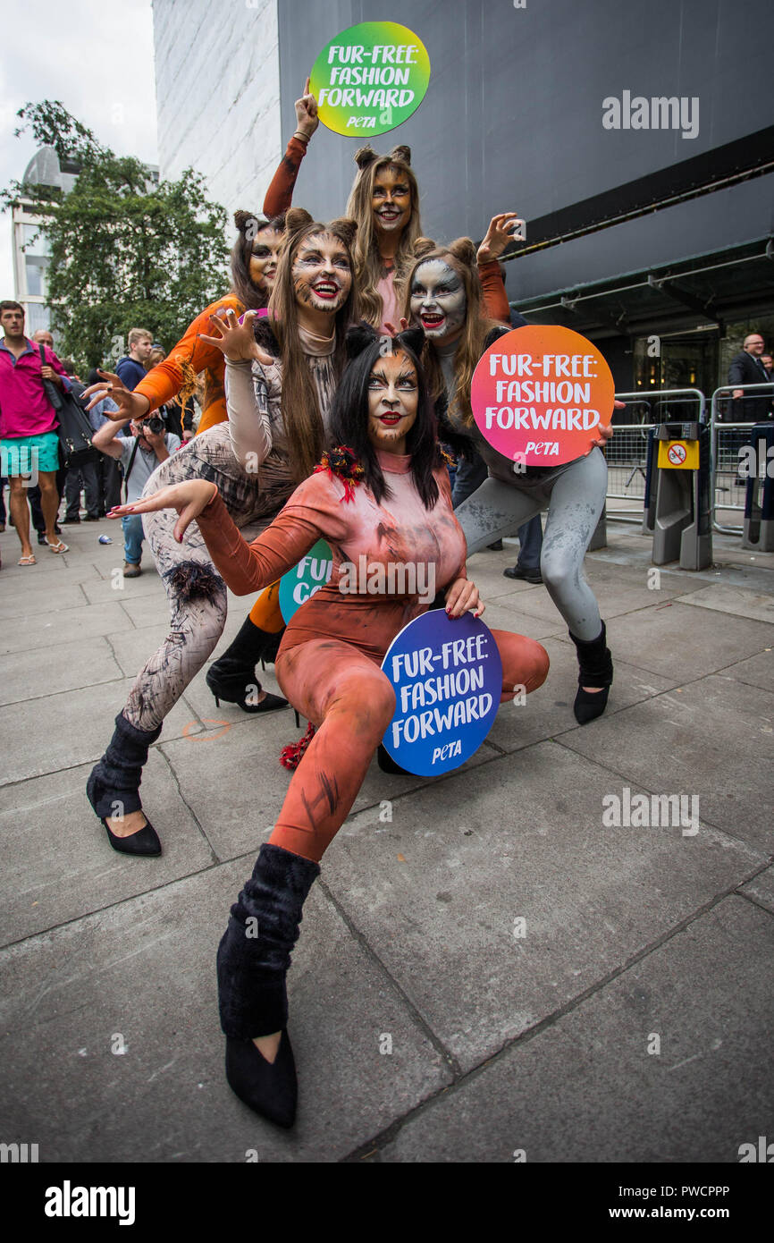 In seguito all'annuncio che questa stagione la London Fashion Week non potrà presentare qualsiasi pelo di animali, una pista di PETA " gatti " puntone al di fuori del caso di celebrare la pelliccia-free passerelle. Dotato di: atmosfera, vista in cui: Londra, Regno Unito quando: 14 set 2018 Credit: Wheatley/WENN Foto Stock