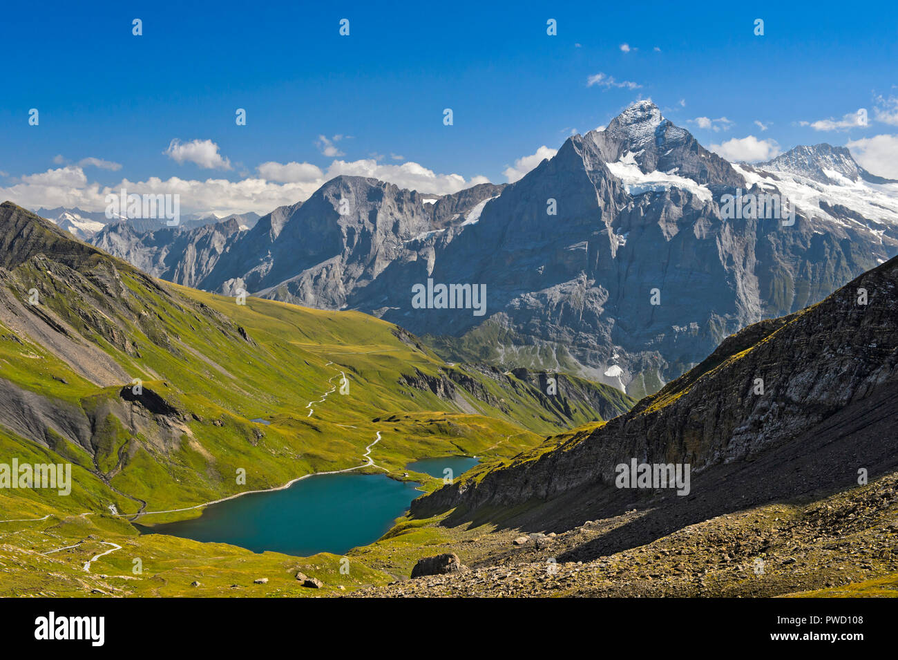 Lago di montagna Bachalpsee e il picco Wetterhorn dietro, Grindelwald, Oberland bernese, Svizzera Foto Stock