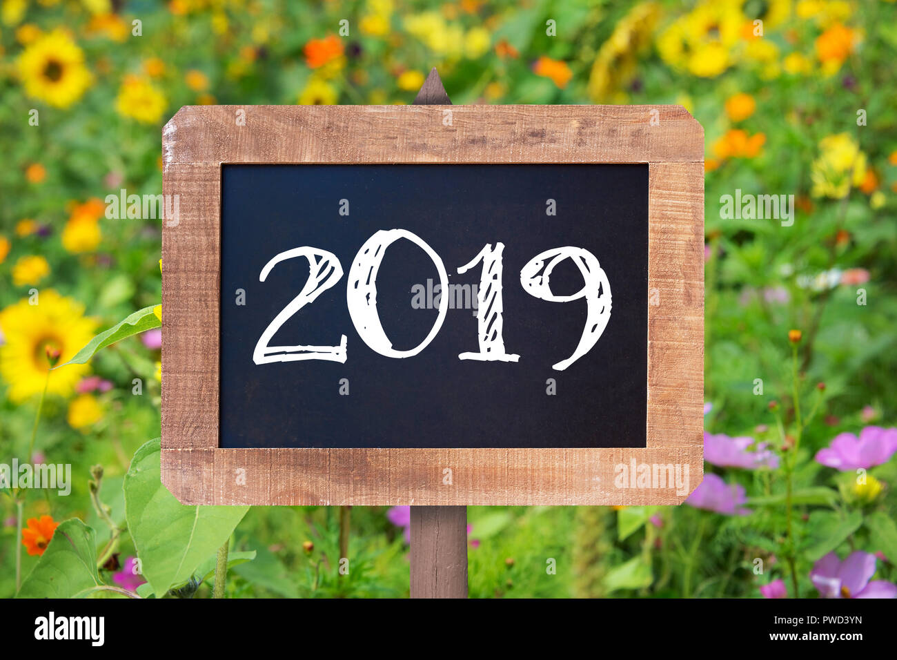 2019 scritto su di un cartello in legno, girasoli e fiori selvatici in background Foto Stock