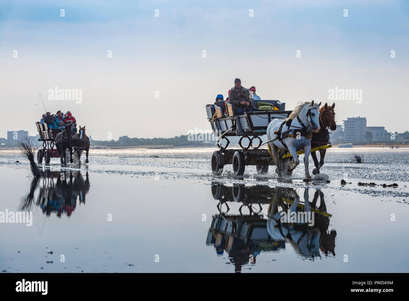 Deutschland, Niedersachsen, Cuxhaven, Neuwerk, Wattenmeer, Watt, Kutsche Foto Stock