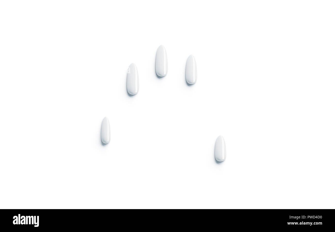 Vuoto bianco unghie finte mockup impostato, il braccio imitazione, isolato, rendering 3d. Estensione vuota unghia mock up, mano di simulazione. Chiara donna manicure artificiale, vista dall'alto. Gel, acrilico o progettazione di lacca Foto Stock