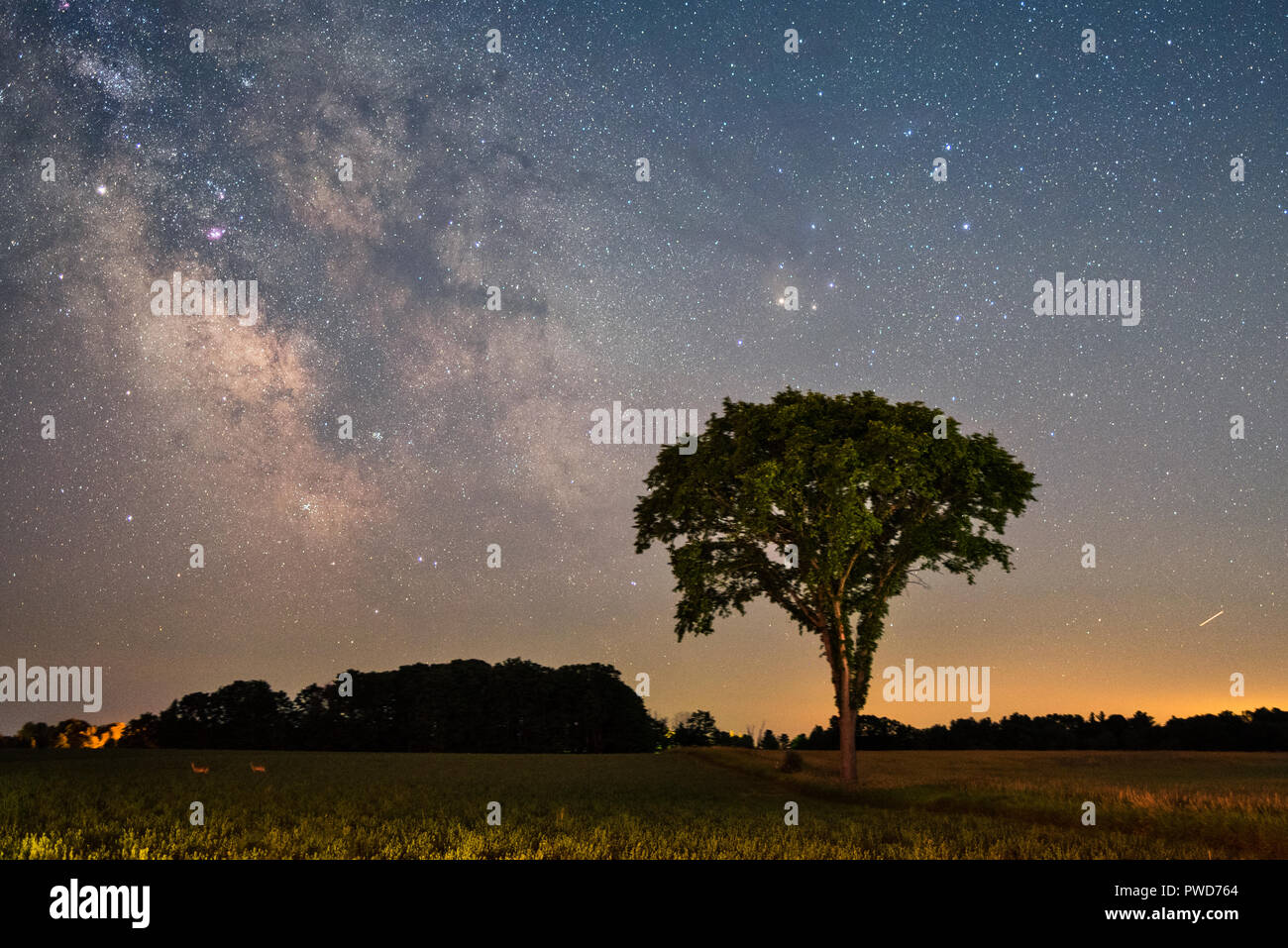 Immagini del nucleo galattico della Via Lattea Foto Stock