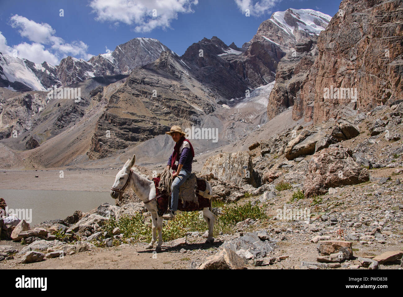 Donkey trekking nelle bellissime montagne Fann, Tagikistan Foto Stock