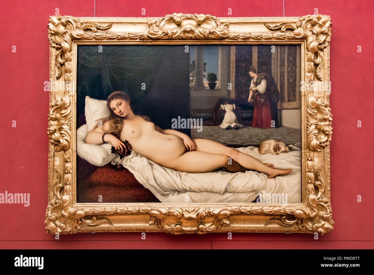 La Venere di Urbino olio su tela di Tiziano in mostra alla Galleria degli Uffizi di Firenze, Italia. Foto Stock