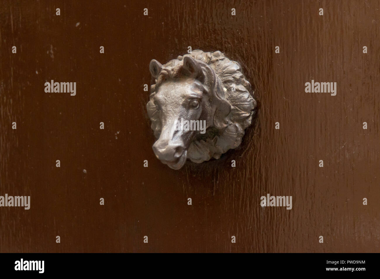 Una testa di cavallo porta a forma di tirare su un marrone porta di legno in Firenze, Italia. Foto Stock