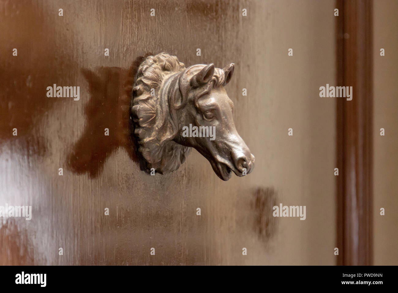 Una testa di cavallo porta a forma di tirare su un marrone porta di legno in Firenze, Italia. Foto Stock