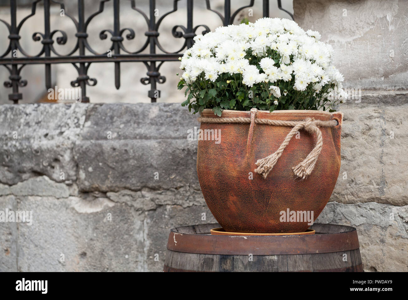 Grande Vaso di fiori con bianchi crisantemi. Vaso con fiori di stand sul  barile di legno. Vendita di fiori Foto stock - Alamy