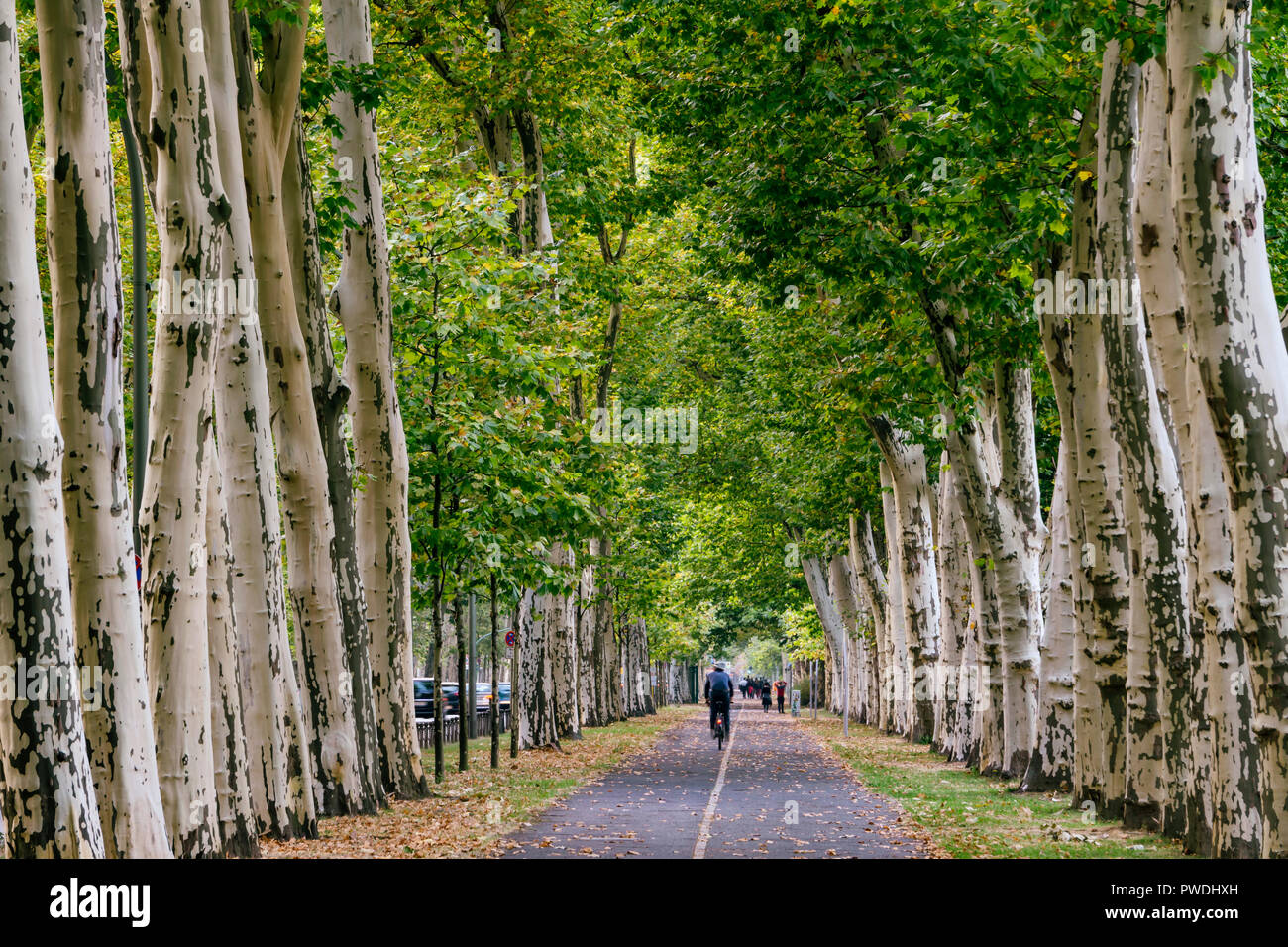 Berlino, Germania, Ottobre 09, 2018: Famosi Puschkin Allee attraverso Treptow Park Foto Stock