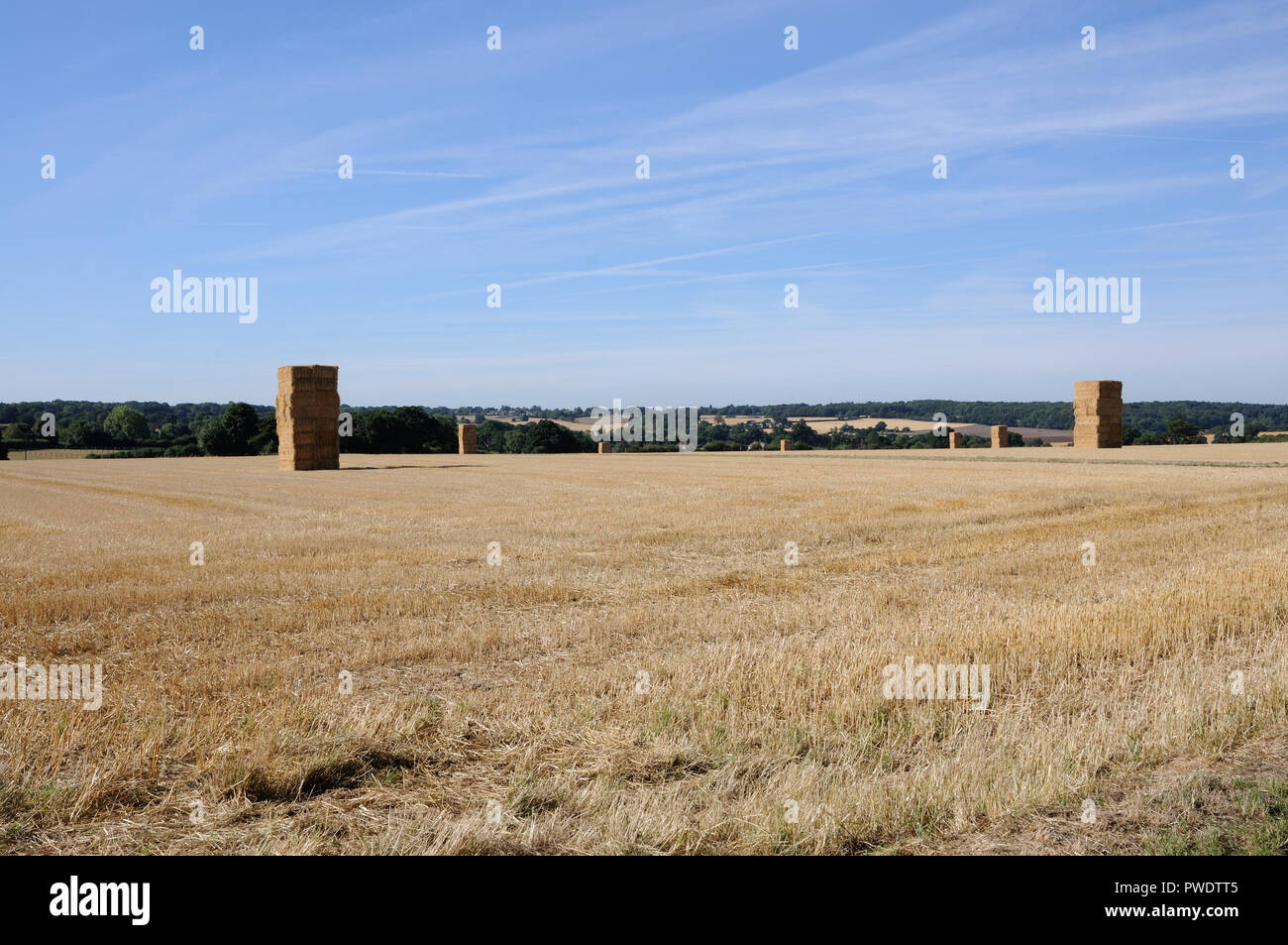 Vista attraverso i campi, Datchworth, Hertfordshire Foto Stock