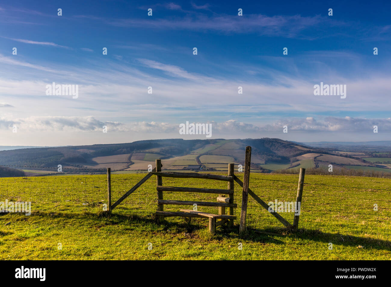 South Downs Way Foto Stock