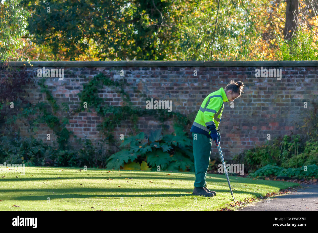 Glasgow, Scotland, Regno Unito. 15 ottobre, 2018. Regno Unito Meteo. Una femmina di giardiniere ritaglio dei bordi del prato in un pomeriggio soleggiato in Il giardino murato di Bellahouston Park. Credito: Berretto Alamy/Live News Foto Stock