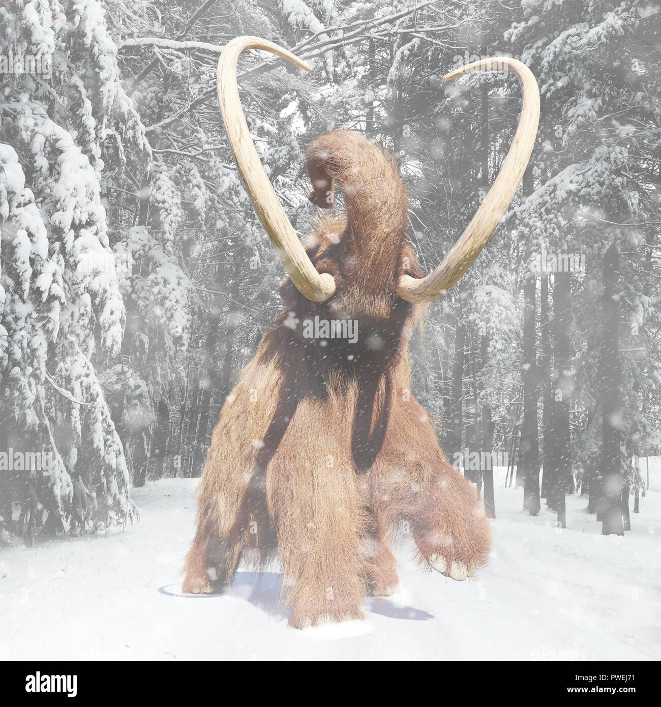 Mammut lanosi a piedi attraverso una foresta durante una tempesta di neve, mammifero preistorico in Ice Age paesaggio Foto Stock
