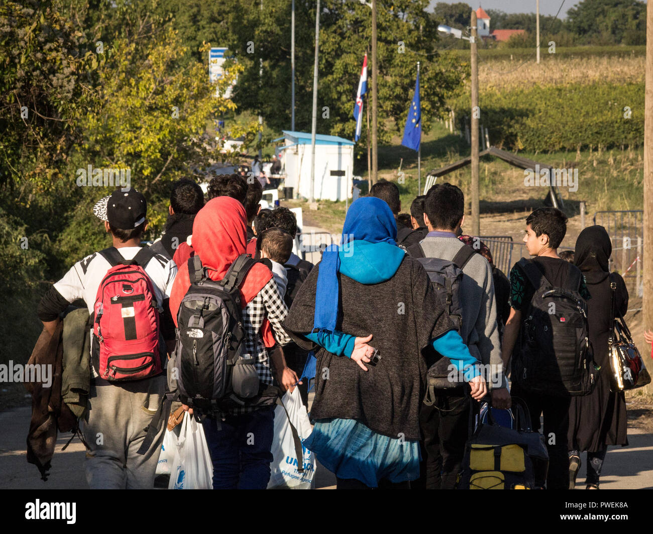 BERKASOVO, SERBIA - Ottobre 3, 2015: i rifugiati a camminare verso il confine croato incrocio sulla Croazia Serbia, il confine tra la città di Bapska Foto Stock