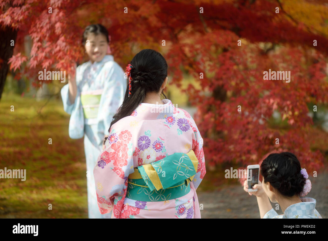 Ragazze giapponesi in colorate yukatas a scattare foto in un bellissimo paesaggio autunnale, Kyoto, Giappone 2017 Foto Stock