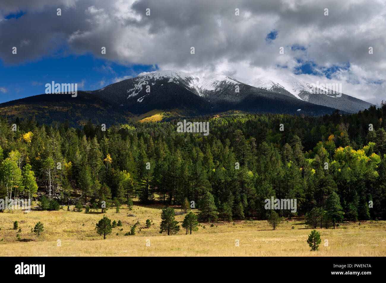 Il San Francisco si avvicina a Flagstaff, Arizona visto da Forest Road 151 Foto Stock