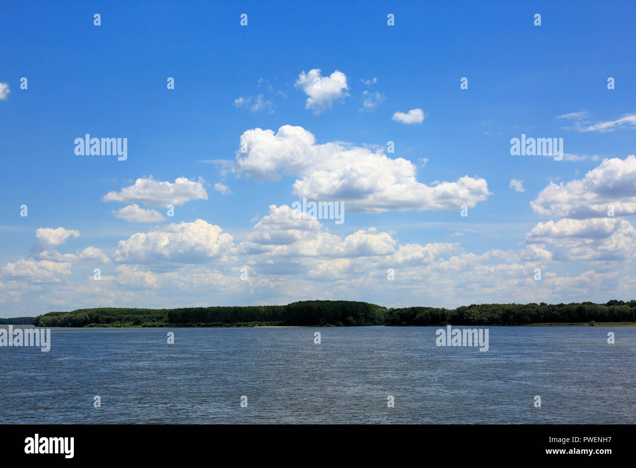 La Bulgaria, nord-est della Bulgaria, Danubio paesaggio vicino Silistra, Dobruja, Dobrudja, Dobruja meridionale, paesaggio fluviale, nuvole, dalle rive del Danubio, bosco Foto Stock