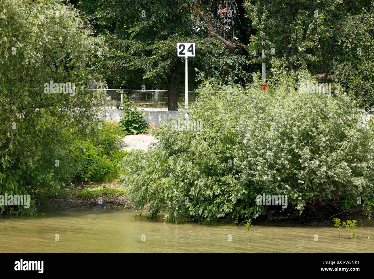 Informazioni segno, kilometrage del fiume Danubio, 24 chilometri di fiume a sinistra verso la foce, navigazione sul Danubio, dalle rive del Danubio, paesaggio fluviale Crisan vicino al ramo di Sulina, Romania, Tulcea contea, Dobrudja, il Delta del Danubio, Riserva della Biosfera del Delta del Danubio, sul delta del fiume, estuario del fiume Danubio in bocca al Mar Nero, Sito Patrimonio Mondiale dell'UNESCO, monumento naturale Foto Stock