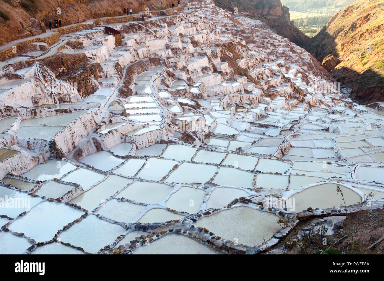 Miniere di sale di Salineras de Maras, vicino a Cuzco, Perù Foto Stock