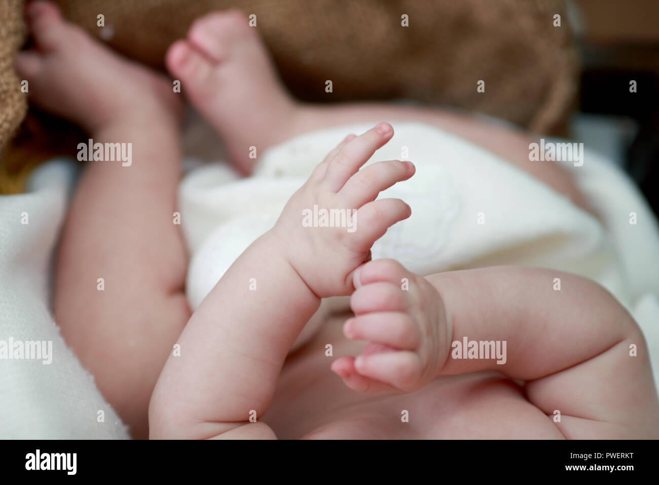 Baby mani e piedi. piedi del bambino. Bambini i piedi e le mani .i piedi del piccolo neonato fino e le mani di un caldo forma. Foto Stock