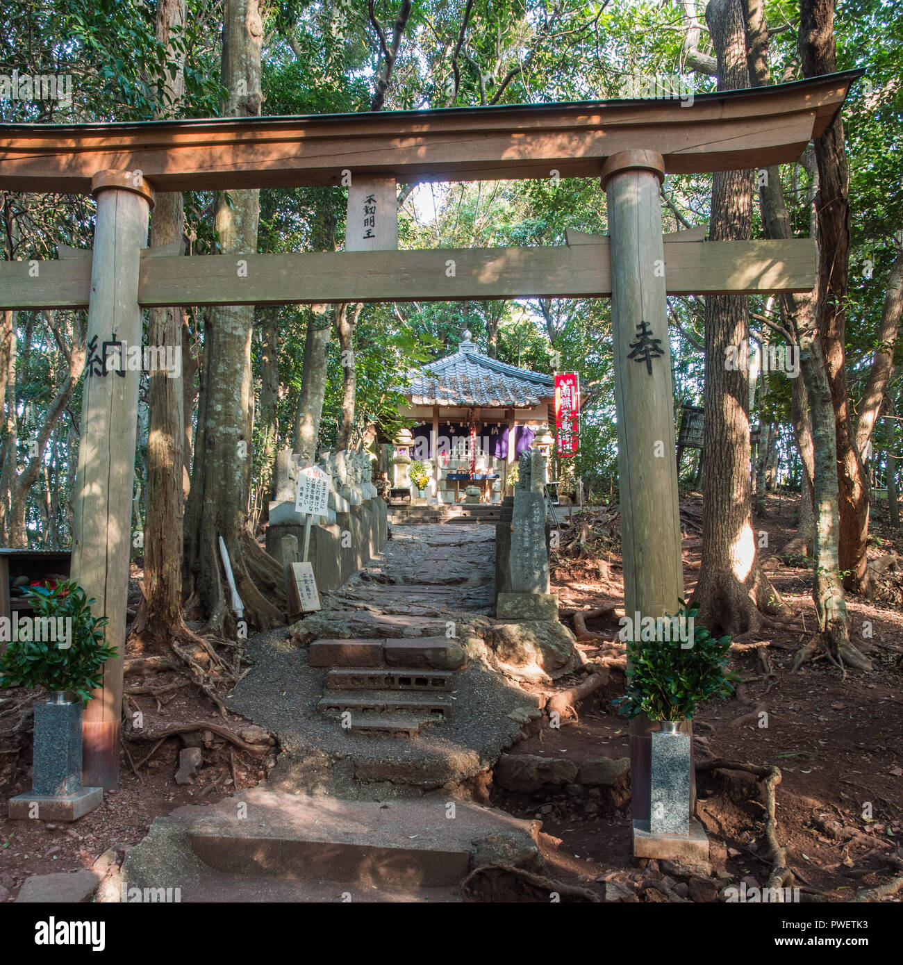 Fudo-do okunonin santuario interiore, tempio Shoryuji 36, Shikoku 88 tempio pellegrinaggio, Kochi, Giappone Foto Stock