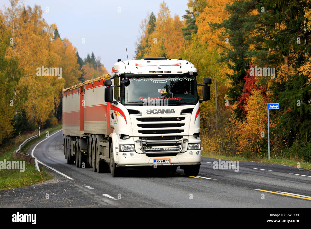 Salo, Finlandia - 13 Ottobre 2018: Bianco Scania R730 di trasporto Stromberg stagionale di barbabietole da zucchero haul sulla autostrada rurale affiancata da fogliame di autunno. Foto Stock