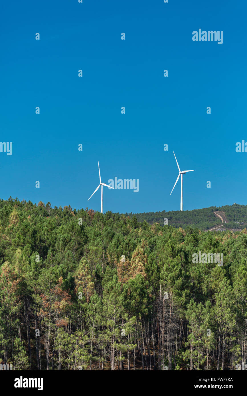 Tema Eco, paesaggio, le turbine eoliche orizzonte, sulla cima della montagna, foresta, cielo blu, Portogallo Foto Stock