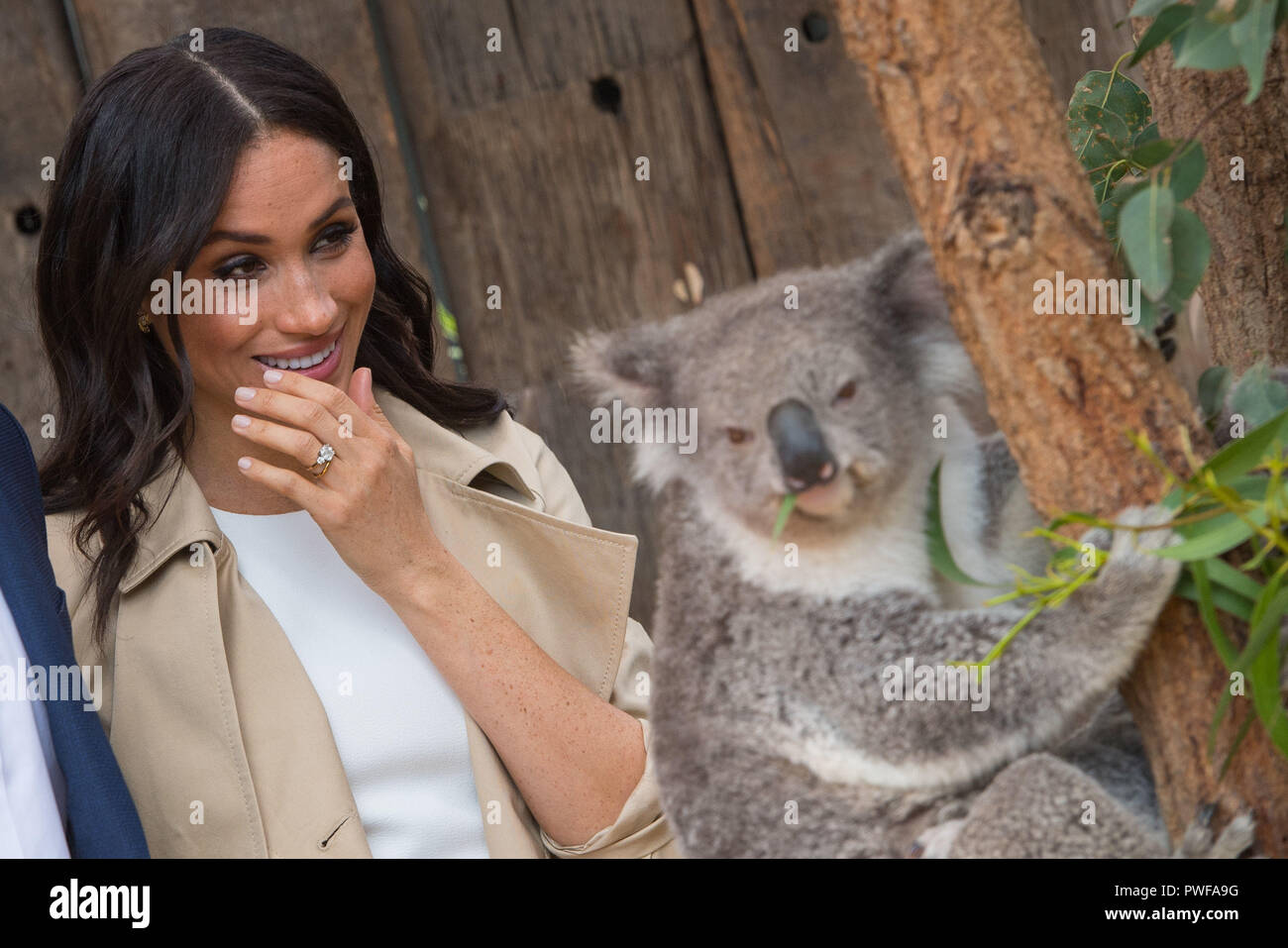 Durante una visita allo Zoo Taronga di Sydney il primo giorno della coppia reale della visita in Australia. Foto Stock