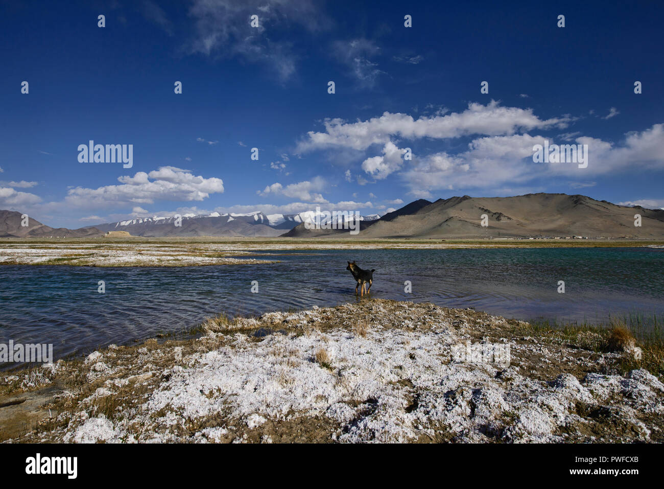 I depositi di sale accanto al Lago Karakul sull'Autostrada del Pamir, Gorno Badakshan, Tagikistan Foto Stock