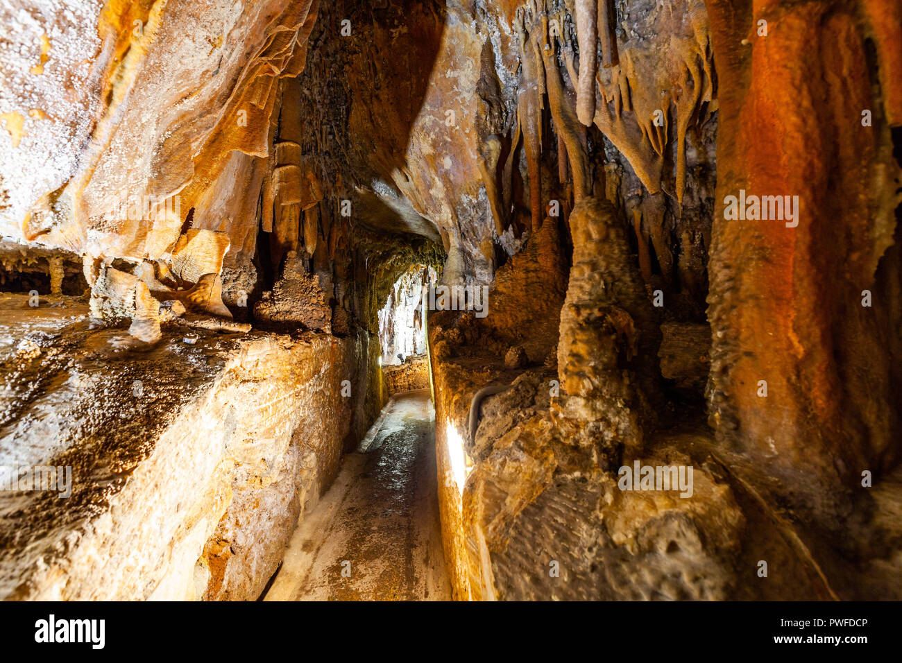 Stretto sentiero tra helictites in una grotta in Australia Foto Stock