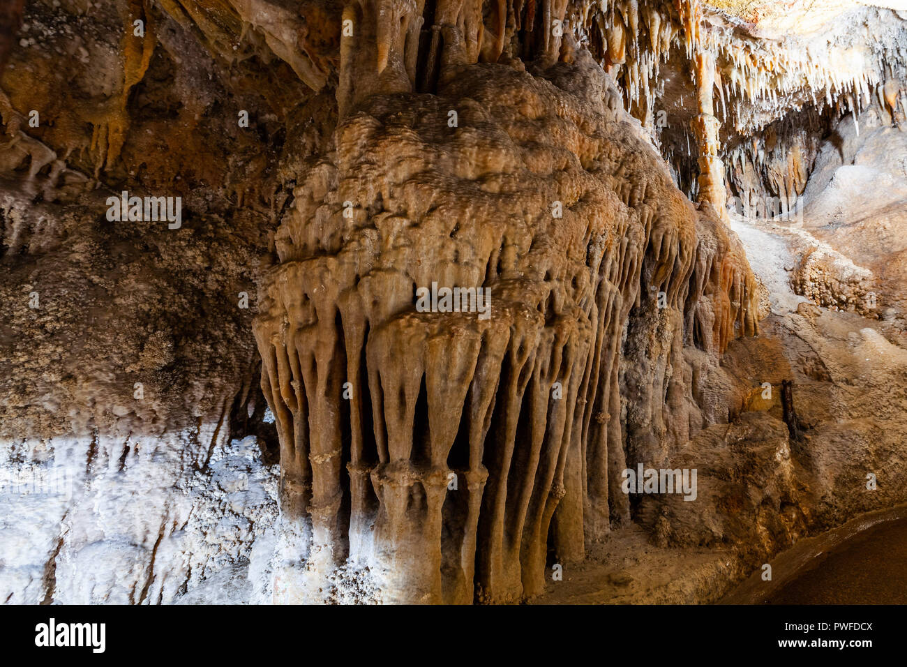 Belle formazioni di stalagmiti nella grotta di calcare Foto Stock