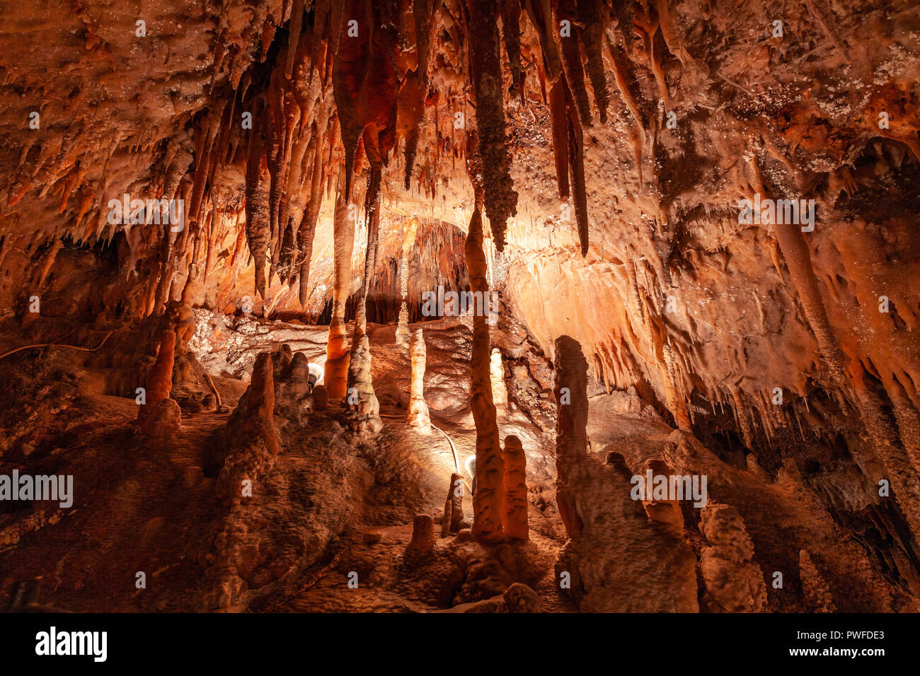 Bella e delicata di stalattiti e stalagmiti in grotta Jillabenan, NSW, Australia Foto Stock