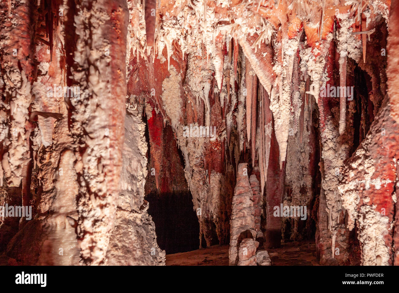 Delicate stalattiti e stalagmiti in una grotta di pietra calcarea in Australia Foto Stock