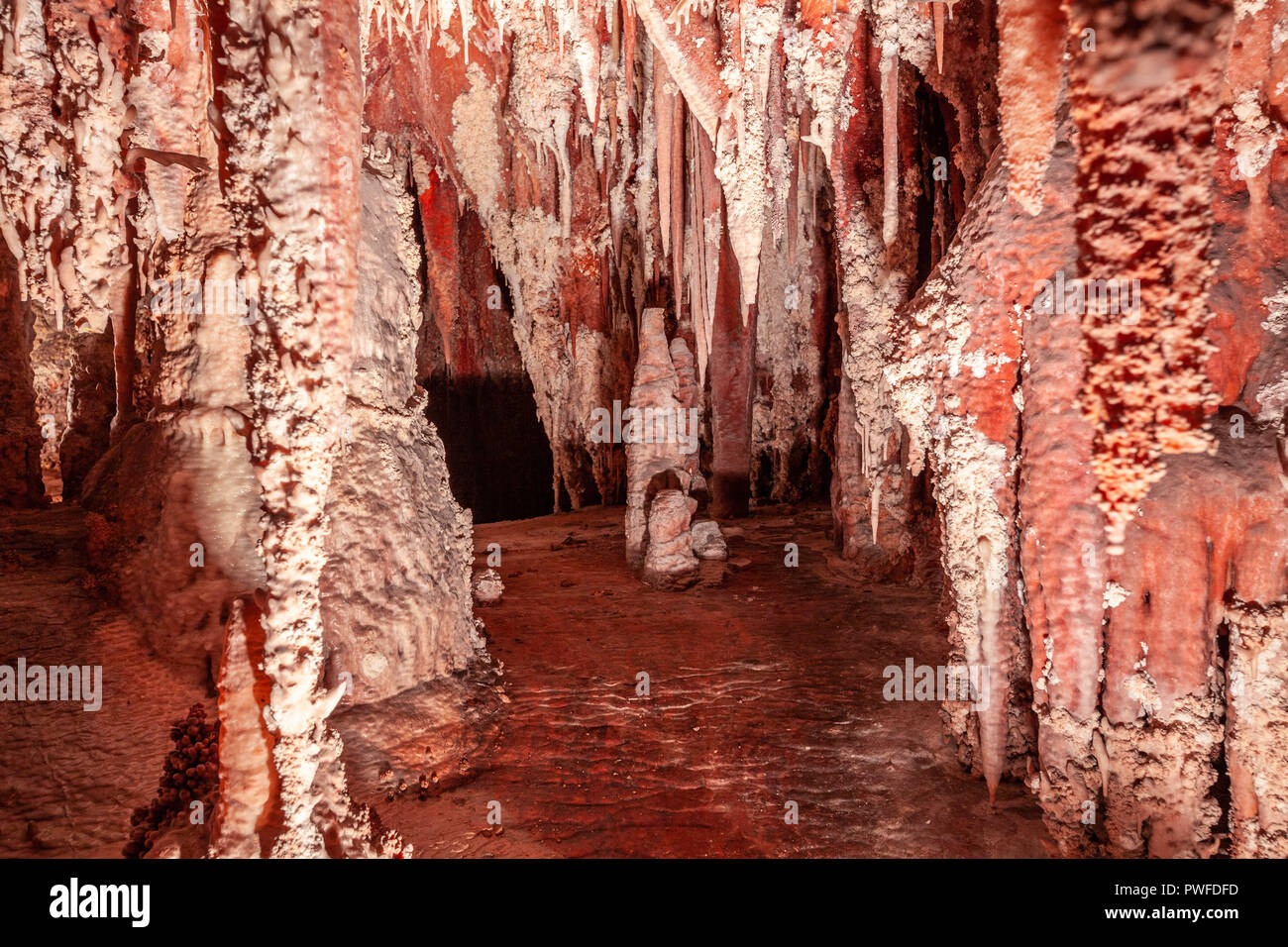 Bellissime stalattiti e stalagmiti in una grotta di pietra calcarea in Australia Foto Stock