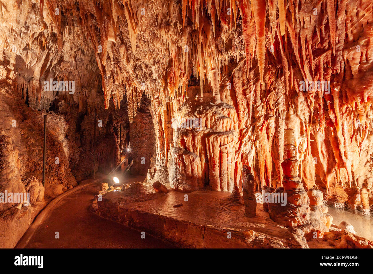 Delicate stalattiti in una bella grotta Kosciuszko national park, NSW, Australia Foto Stock