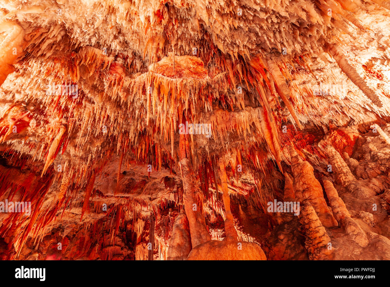Enorme grotta di calcare soffitto con stalattiti che pendono Foto Stock
