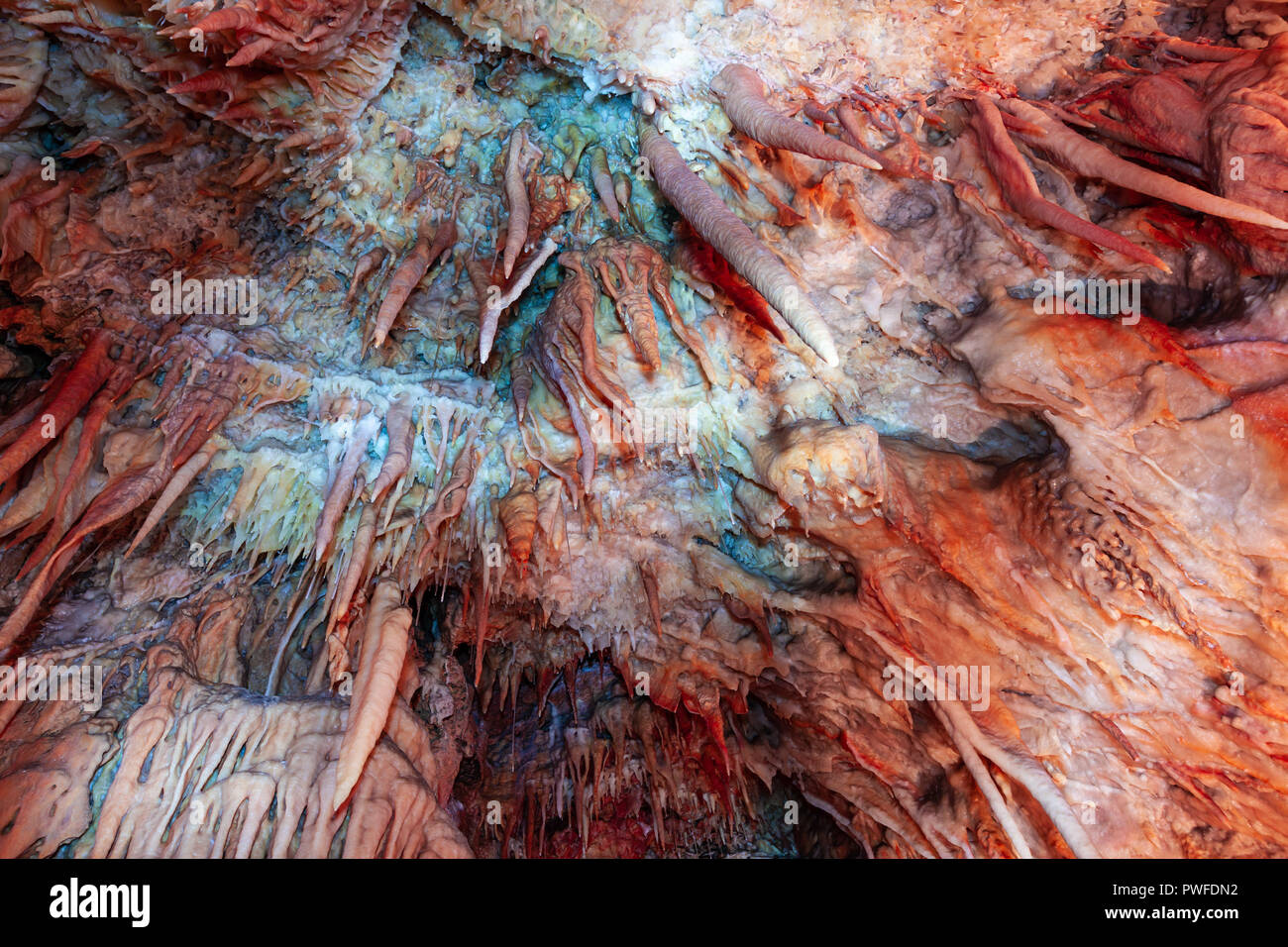 Guardando il twisted helictites pendere dalla grotta soffitto in Australia Foto Stock