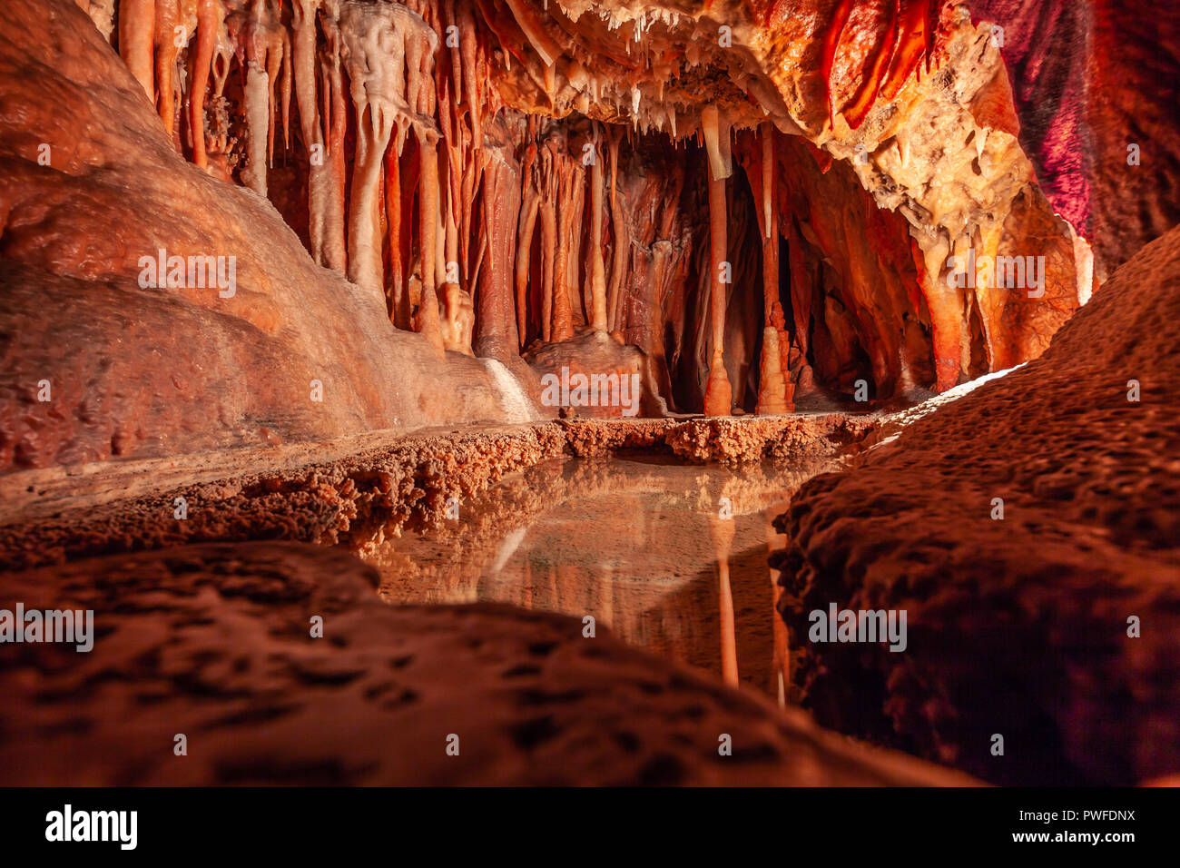 Stalattiti e stagno di acqua in una grotta di pietra calcarea in Australia Foto Stock